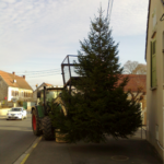 dépose du sapin de Noël à l'aide d'un tracteur