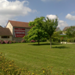 herbe fraîchement tondue autour du terrain de pétanque