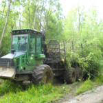 une entreprise ramasse le bois coupé à l'aide d'un tracteur