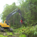 une entreprise coupe des arbres
